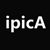 IPICA Software